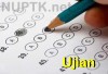 Ujian Sekolah SD Secara Online Diusulkan Tahun 2016